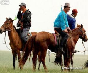 Puzzle Xilingol άλογο, Μογγολία